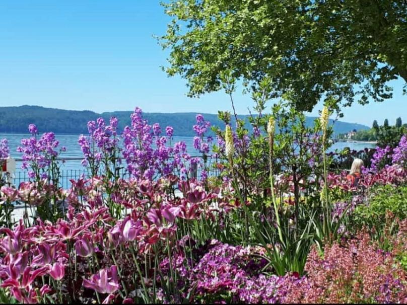 Lakeview Penthouse Meersburg Extérieur photo
