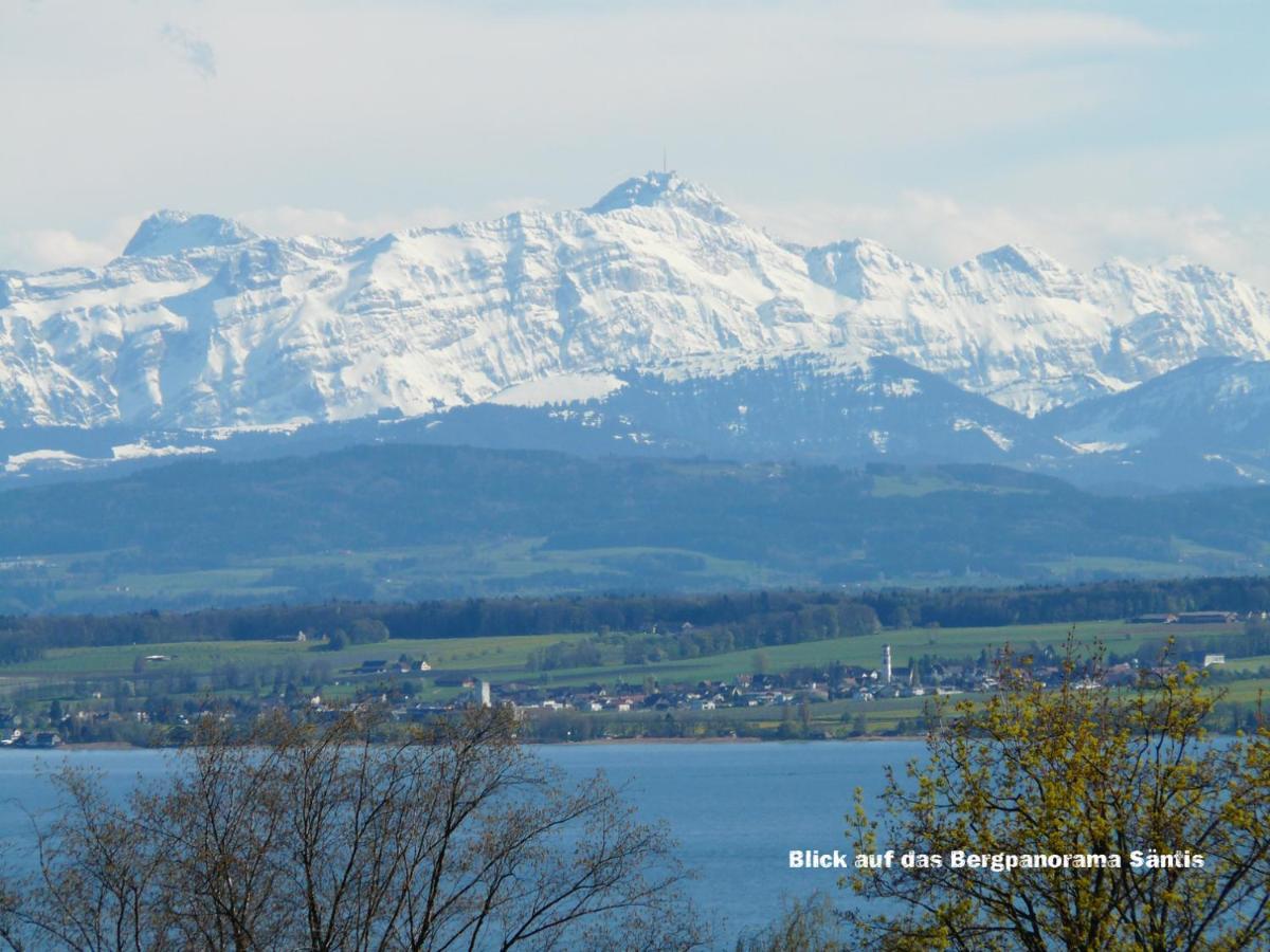 Lakeview Penthouse Meersburg Extérieur photo